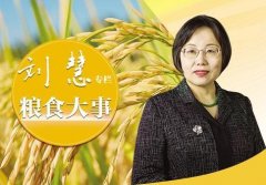 <b>相关消息数据一旦泄</b>